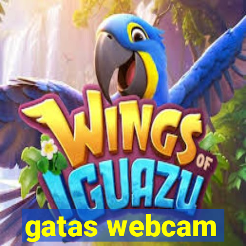 gatas webcam